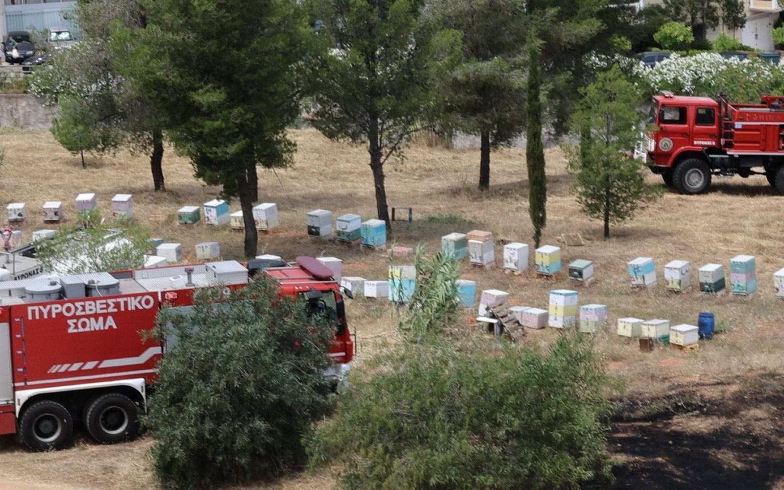 Άλσος Βεΐκου: Από μελίσσια φαίνεται να ξεκίνησε η φωτιά - Αναζητούνται οι ύποπτοι