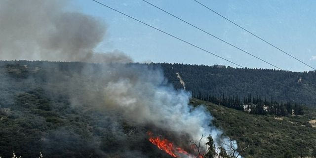 Φωτιά στο Φίλυρο Θεσσαλονίκης