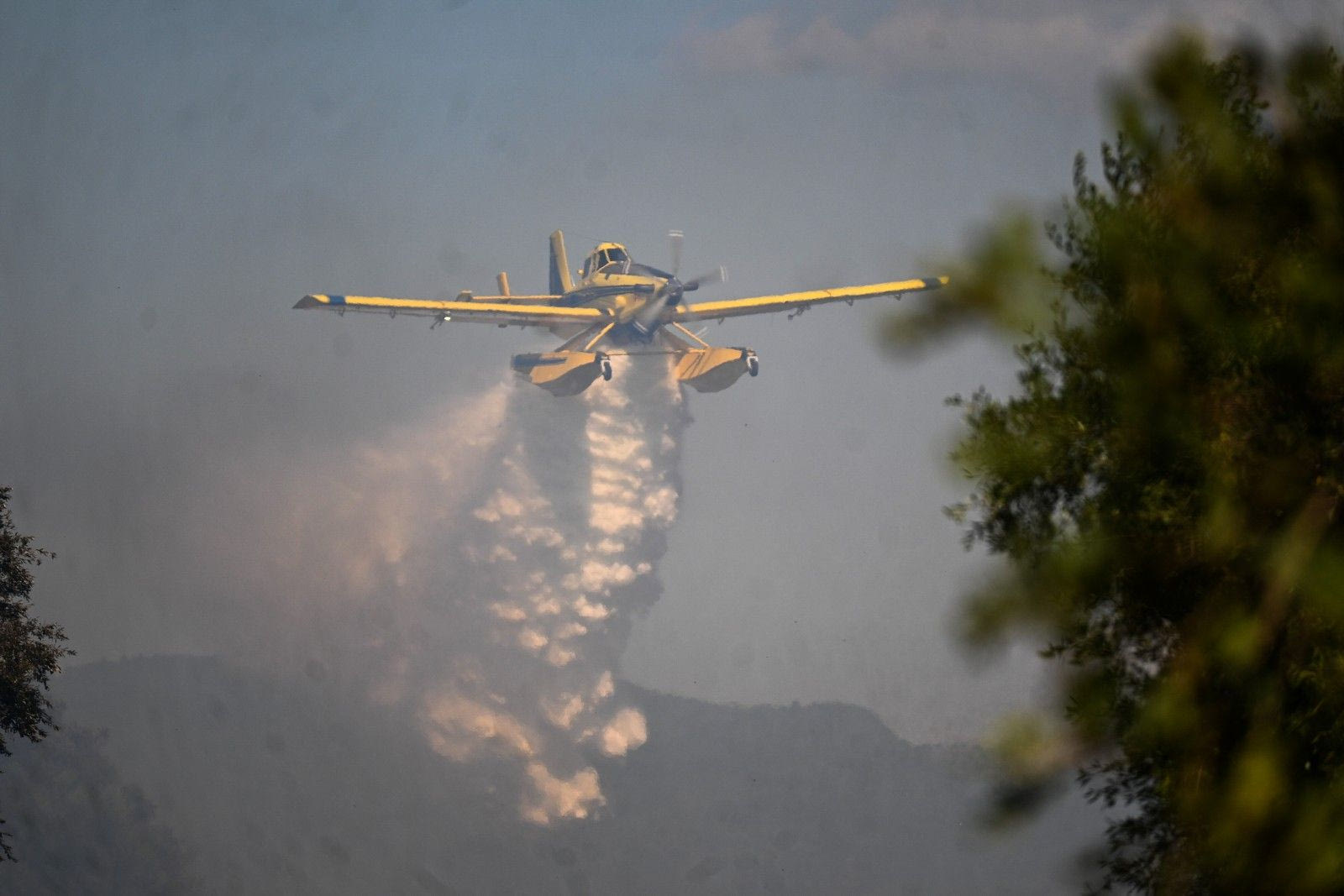 Φωτιά στη Φθιώτιδα – Εκκενώνεται χωριό, επιχειρούν 11 εναέρια