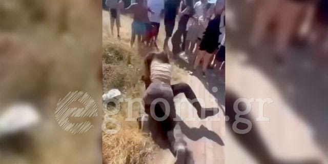 Άγριος καβγάς μεταξύ μαθητριών σε γυμνάσιο της Εύβοιας – Όλοι κοιτούσαν και βιντεοσκοπούσαν