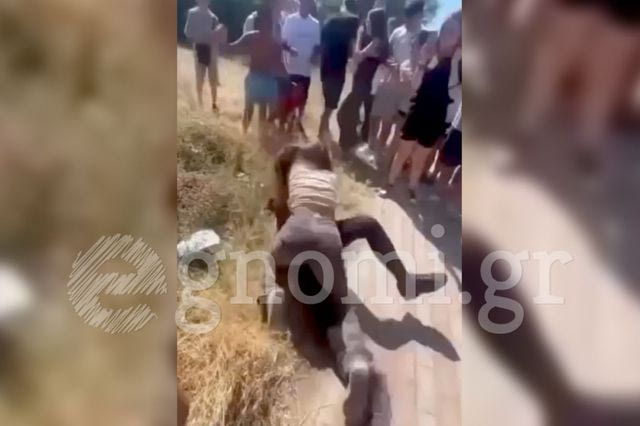 Άγριος καβγάς μεταξύ μαθητριών σε γυμνάσιο της Εύβοιας – Όλοι κοιτούσαν και βιντεοσκοπούσαν