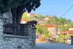 Γρεβενά: Αρκουδάκι έκανε βόλτα σε χωριό – Βίντεο