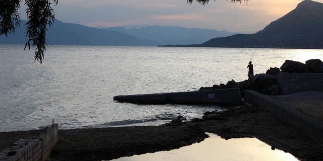Στη Βόρεια Εύβοια το δάσος μεταμορφώθηκε σε οθόνη