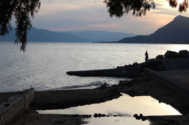 Στη Βόρεια Εύβοια το δάσος μεταμορφώθηκε σε οθόνη
