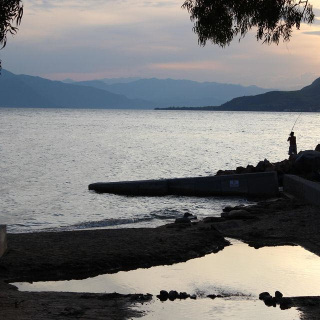 Στη Βόρεια Εύβοια το δάσος μεταμορφώθηκε σε οθόνη