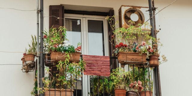 «Άμα έχεις καλή σχέση με το χάος, το zero waste μπαλκόνι γίνεται όμορφο»