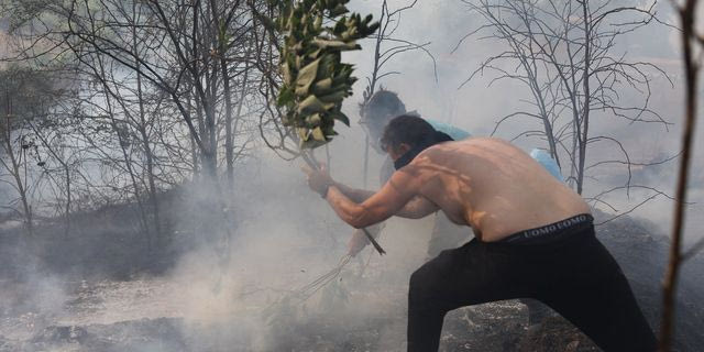 Φωτιά σε δασική έκταση στην Κινέτα