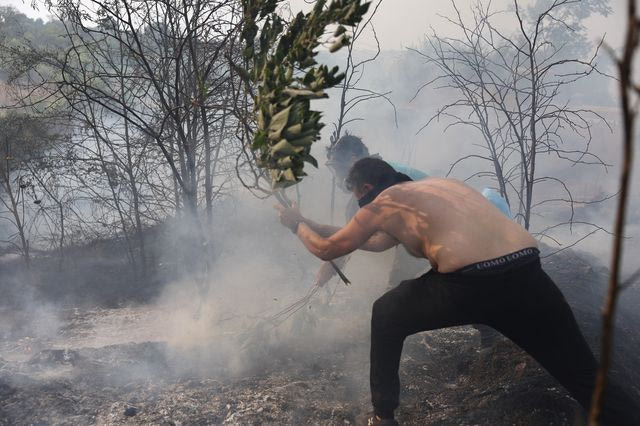 Φωτιά σε δασική έκταση στην Κινέτα