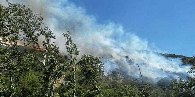 Θεσσαλονίκη: Οριοθετήθηκε η φωτιά στο Φίλυρο