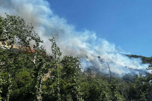 Θεσσαλονίκη: Οριοθετήθηκε η φωτιά στο Φίλυρο