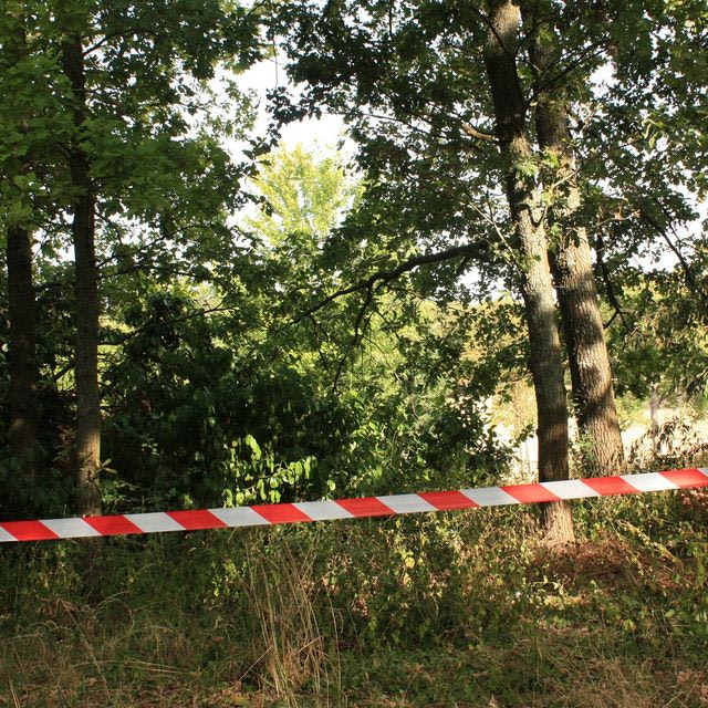 Η σορός “φαίνεται να ανήκει σε παιδί” και “φέρει ρούχα παρόμοια” με της Λιάνα