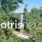 Γαστούνη: 57χρονος βρέθηκε νεκρός σε ποιμνιοστάσιο