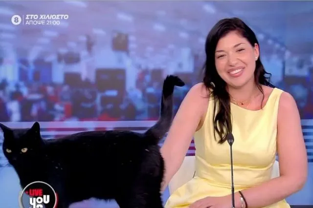 Ο απρόσκλητος επισκέπτης στο στούντιο του “Live You” εν ώρα της εκπομπής