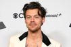 Μια Ελληνίδα έκανε τον Harry Styles να σταματήσει συναυλία – “Πούλησα φωτογραφίες με τις πατούσες μου”