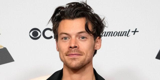 Μια Ελληνίδα έκανε τον Harry Styles να σταματήσει συναυλία – “Πούλησα φωτογραφίες με τις πατούσες μου”