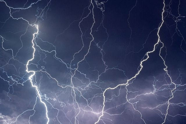 Σουηδία: Κεραυνός χτύπησε δέντρο σε πάρκο αναψυχής – Αρκετοί τραυματίες