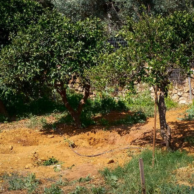 Χανιά: Δεμένη, φιμωμένη και με δύο μαχαιριές στο στήθος βρέθηκε η 45χρονη Σταυρούλα