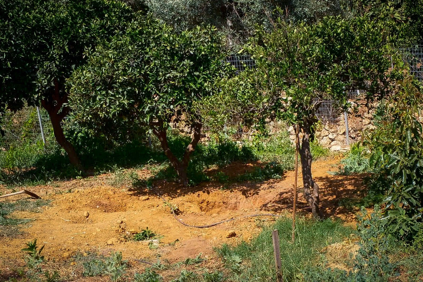 Χανιά: Δεμένη, φιμωμένη και με δύο μαχαιριές στο στήθος βρέθηκε η 45χρονη Σταυρούλα