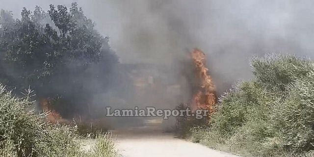 Φωτιά στην είσοδο της Λυγαριάς Λαμίας – Μεγάλη κινητοποίηση της Πυροσβεστικής