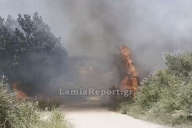 Φωτιά στην είσοδο της Λυγαριάς Λαμίας – Μεγάλη κινητοποίηση της Πυροσβεστικής