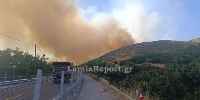 Φωτιά στο Ακραίφνιο Βοιωτίας: Ενισχύθηκαν οι δυνάμεις – Κλειστή η Εθνική Οδός Αθηνών-Λαμίας
