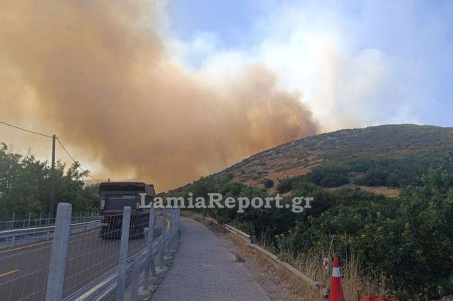Φωτιά στο Ακραίφνιο Βοιωτίας: Ενισχύθηκαν οι δυνάμεις – Κλειστή η Εθνική Οδός Αθηνών-Λαμίας