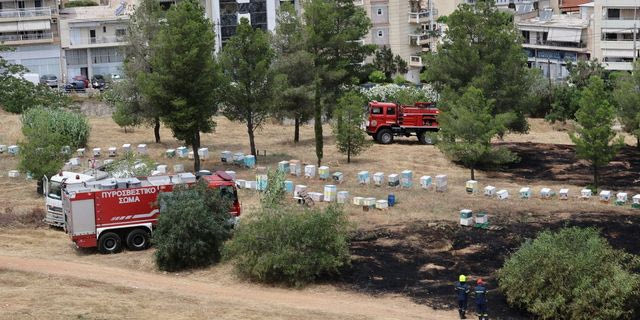 Συνελήφθη 45χρονος μελισσοκόμος για τη φωτιά στο Άλσος Βεΐκου