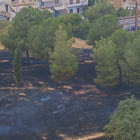 Φωτιά κοντά στο Άλσος Βεΐκου – Επιχειρούν και εναέρια μέσα