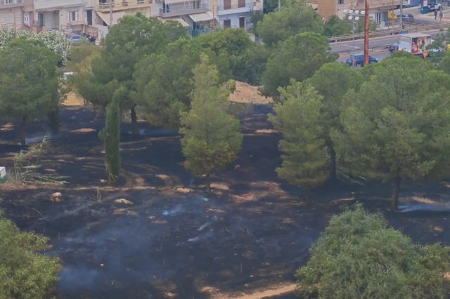 Οριοθετήθηκε η φωτιά στο Άλσος Βεΐκου