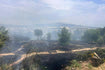 Άλσος Βεΐκου: Από μελίσσια φαίνεται να ξεκίνησε η φωτιά – Αναζητούνται οι ύποπτοι