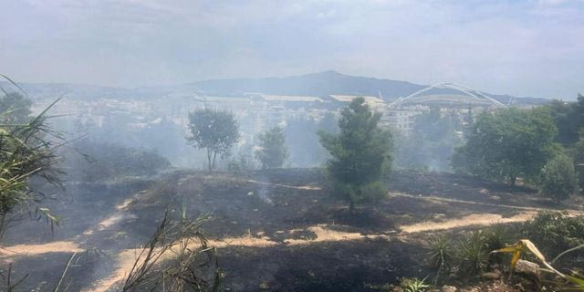 Φωτιά στη Μεσσηνία: Συνελήφθη 55χρονος χειριστής τρακτέρ – Από σπινθήρες ξεκίνησε η πυρκαγιά