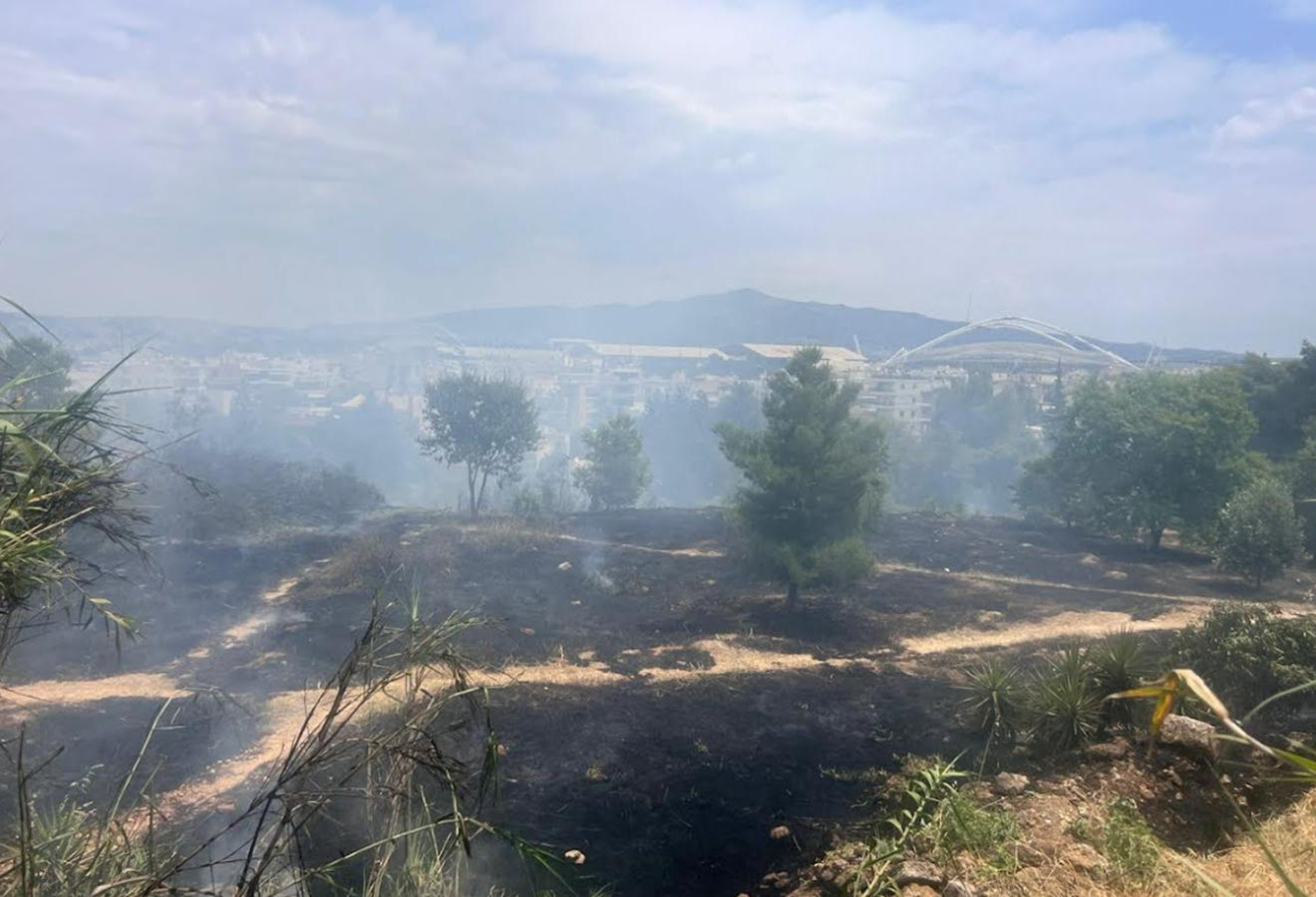 Άλσος Βεΐκου: Από μελίσσια φαίνεται να ξεκίνησε η φωτιά - Αναζητούνται οι ύποπτοι