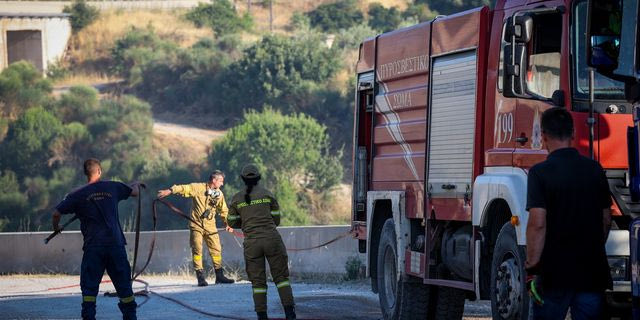 Σε ύφεση η φωτιά στο Ακραίφνιο Βοιωτίας – Σοβαρές καταστροφές και δεκάδες νεκρά ζώα