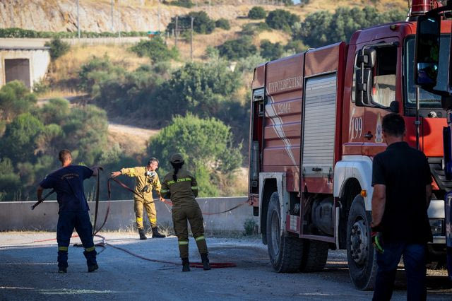 Σε ύφεση η φωτιά στο Ακραίφνιο Βοιωτίας – Σοβαρές καταστροφές και δεκάδες νεκρά ζώα
