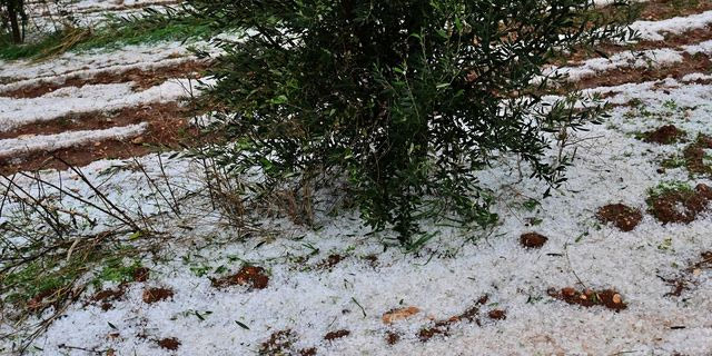 Ισχυρό καλοκαιρινό μπουρίνι με χαλάζι σάρωσε τα Ιωάννινα – Ζημιές σε καλλιέργειες
