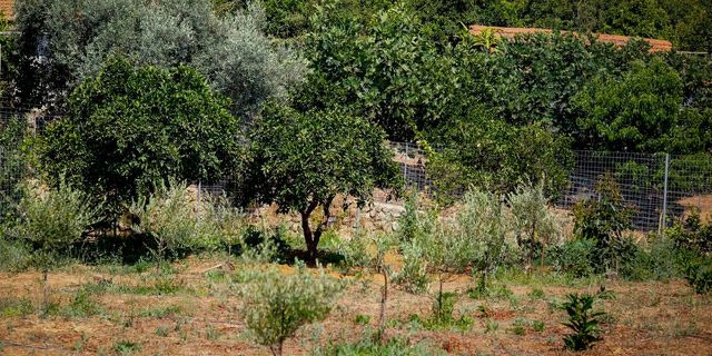 Χανιά: “Τσακωθήκαμε και την τραυμάτισα με μαχαίρι” – Τι υποστήριξε ο 43χρονος
