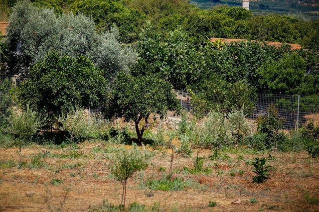 Γυναικοκτονία στα Χανιά: “Τσακωθήκαμε και την τραυμάτισα με μαχαίρι” – Τι υποστήριξε ο 43χρονος
