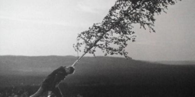 Ο Jeff Koons επιλέγει Bergman για το Cycladic Screening