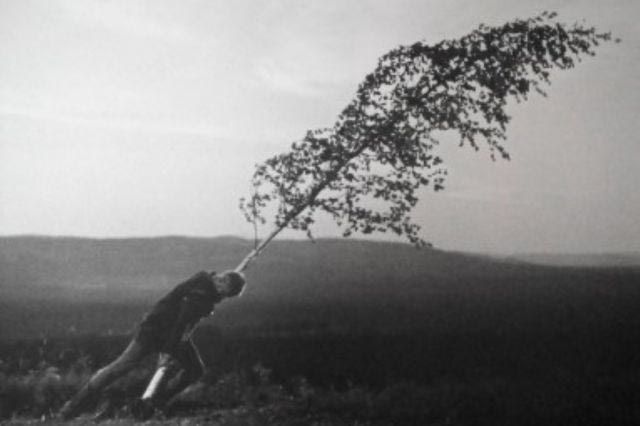 Ο Jeff Koons επιλέγει Bergman για το Cycladic Screening