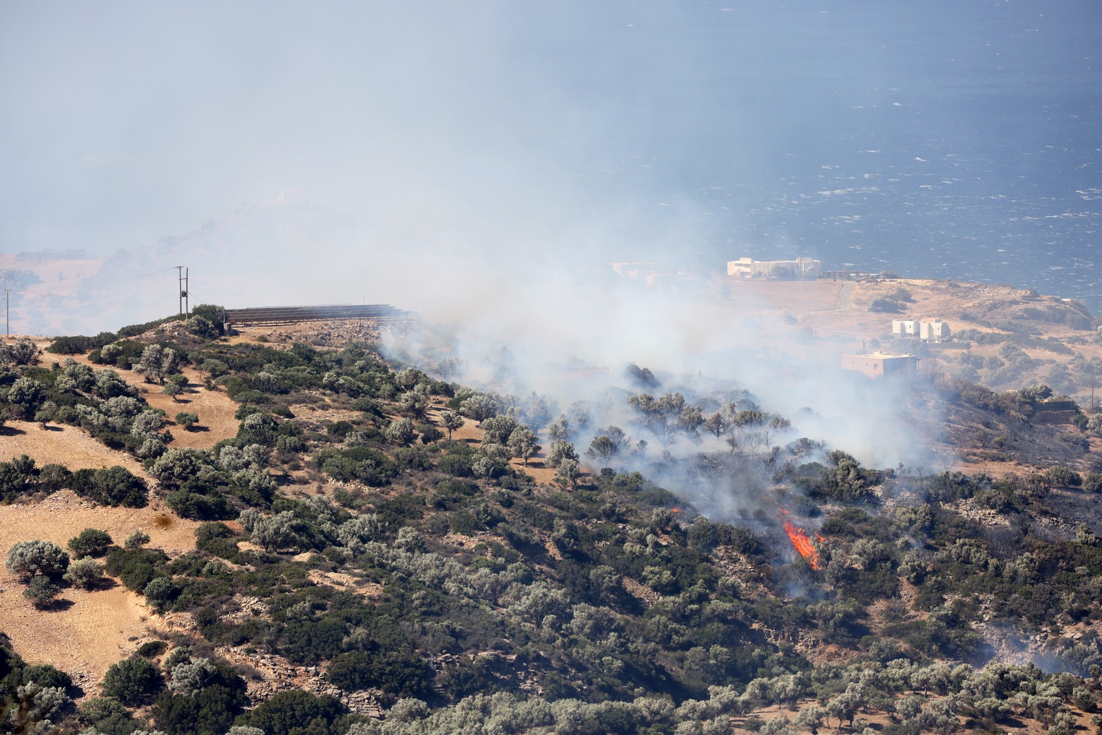 Ρέθυμνο: Συνελήφθη 35χρονος για τη φωτιά – Είχε ανάψει ψησταριά σε ημέρα υψηλής επικινδυνότητας
