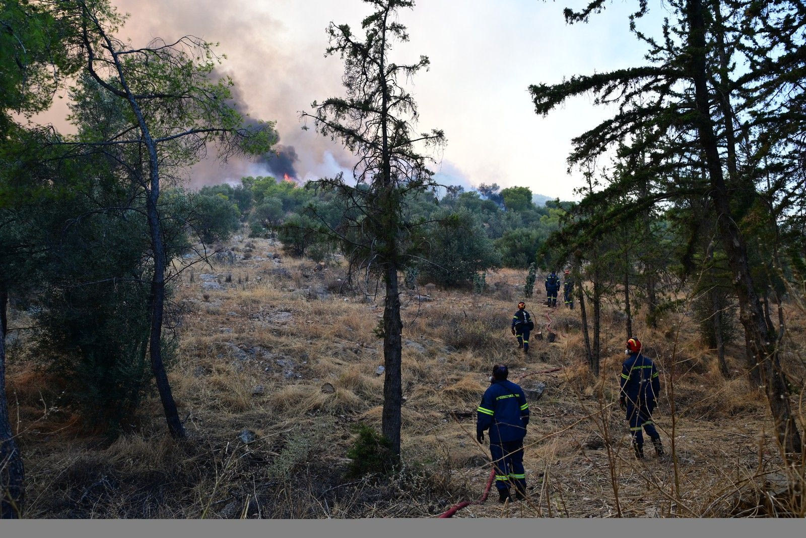 Φωτιά στην Περιφερειακή Αιγάλεω - Πυρκαγιά και στο Χαϊδάρι, εκκένωση προς Περιστέρι