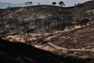 Ισπανία: Στάχτη 66.000 στρέμματα από την πυρκαγιά στην Αλμερία – 12 οι νεκροί