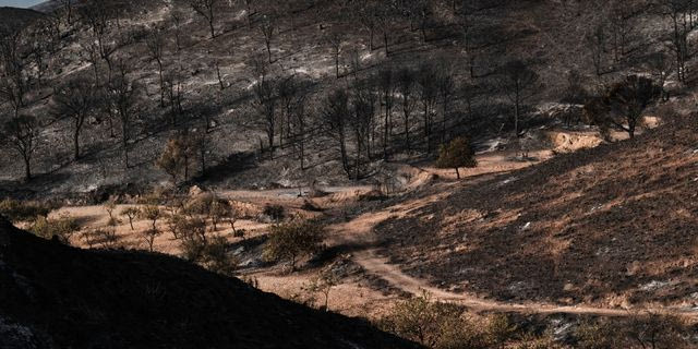 Ισπανία: Στάχτη 66.000 στρέμματα από την πυρκαγιά στην Αλμερία – 12 οι νεκροί