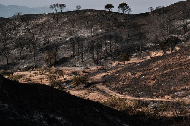 Ισπανία: Στάχτη 66.000 στρέμματα από την πυρκαγιά στην Αλμερία – 12 οι νεκροί