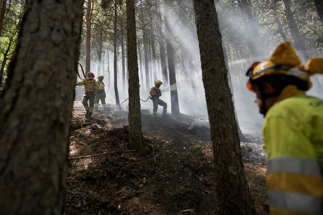 Ισπανία: Ενα χωριό ενώθηκε για να σώσει από τις φλόγες μια καστανιά – σύμβολο 500 ετών