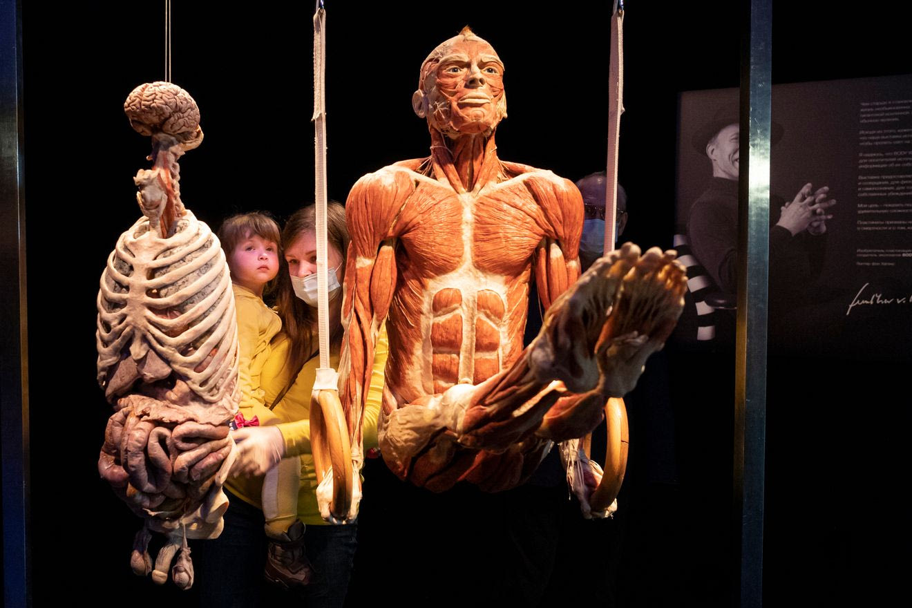 Body Worlds