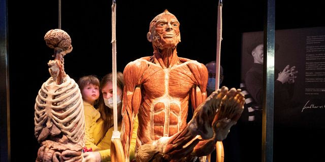 Body Worlds