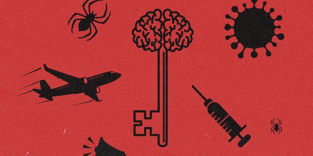 Έρευνα aboutpeople: Κατσαρίδες, βελόνες, αεροπλάνα – Οι φοβίες των Ελλήνων