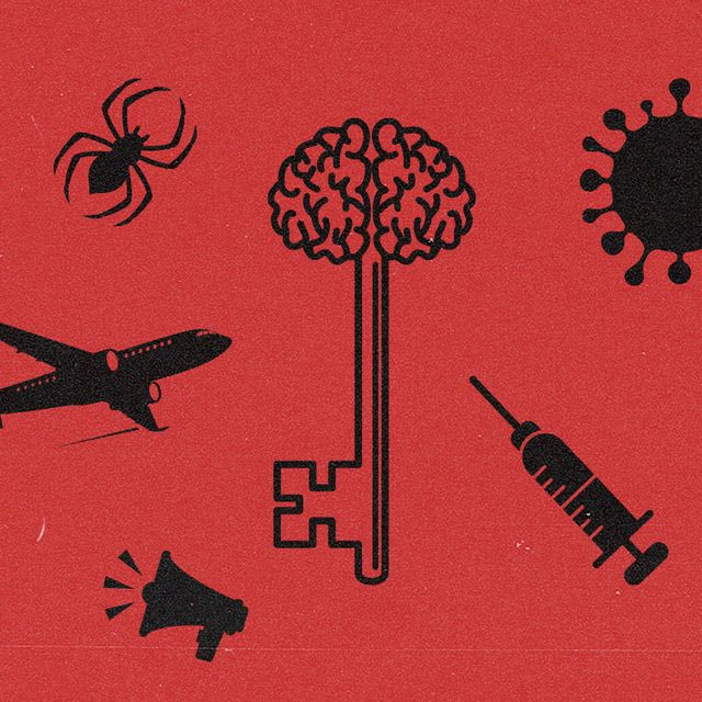 Έρευνα aboutpeople: Κατσαρίδες, βελόνες, αεροπλάνα – Οι φοβίες των Ελλήνων