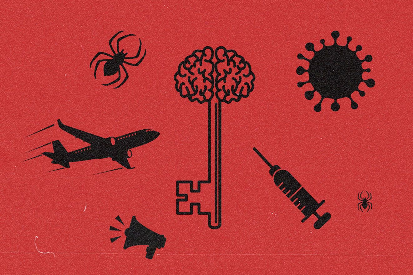 Έρευνα aboutpeople: Κατσαρίδες, βελόνες, αεροπλάνα - Οι φοβίες των Ελλήνων